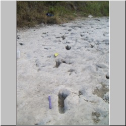 100_0409 (2009-26-07).JPG